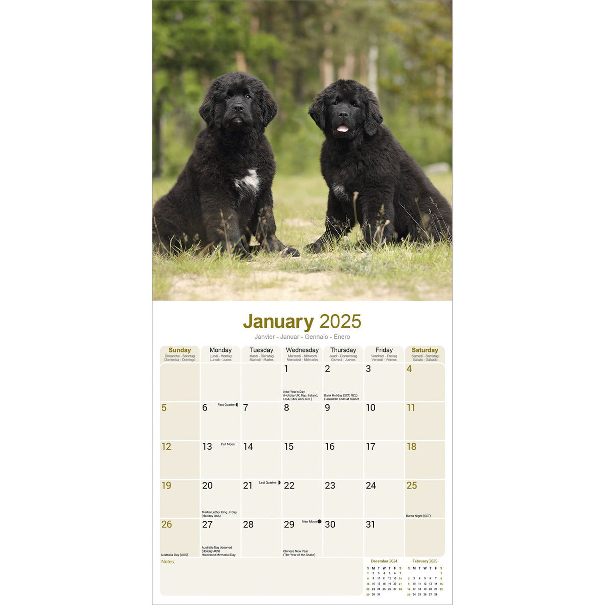 Newfoundland Calendar 2025 Avonside Publishing Ltd