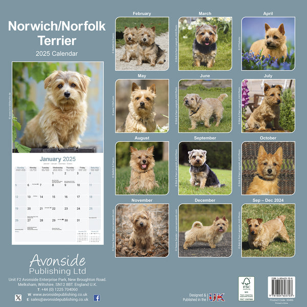 Norwich Norfolk Terrier Calendar 2025