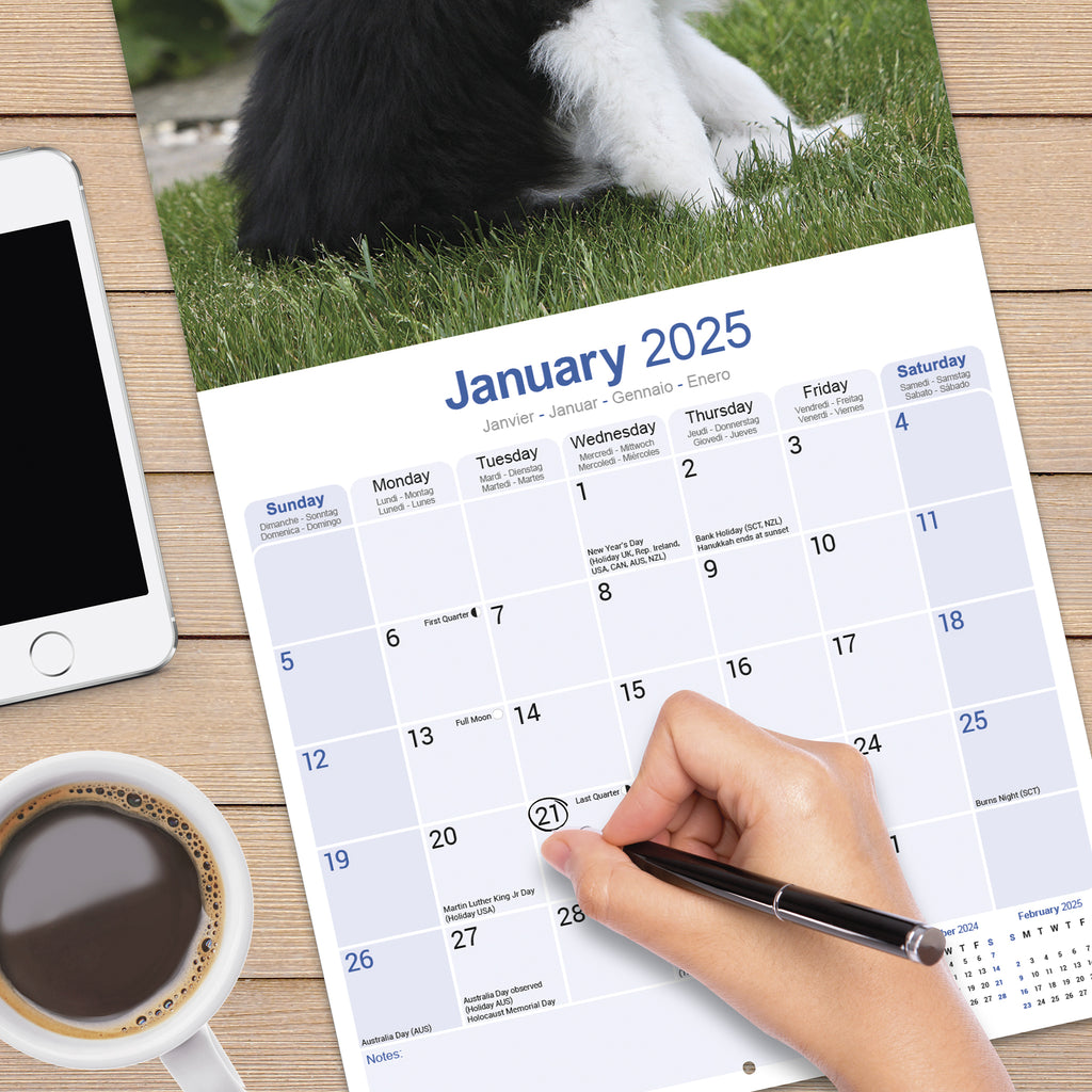 Old English Sheepdog Calendar 2025 Avonside Publishing Ltd