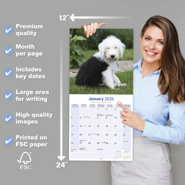 Old English Sheepdog Calendar 2025