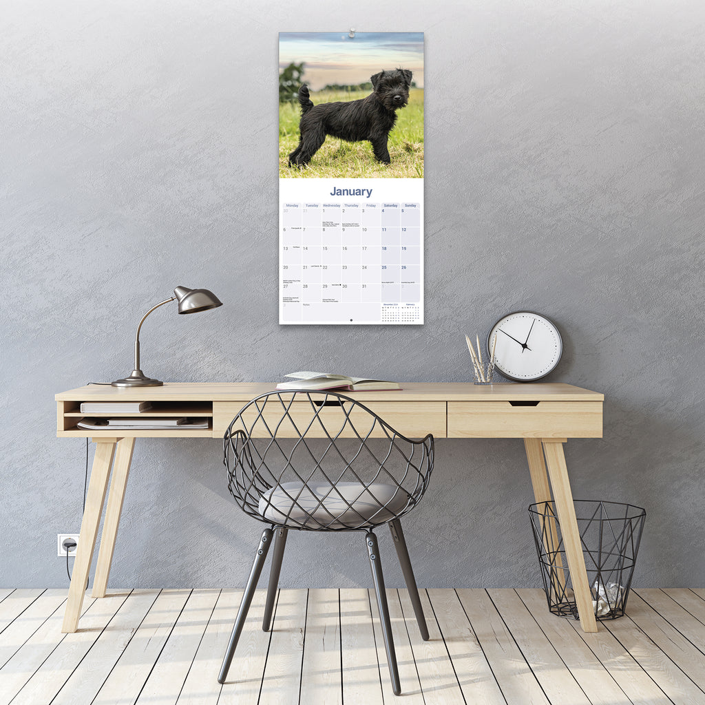 Patterdale Terrier Calendar 2025 Avonside Publishing Ltd