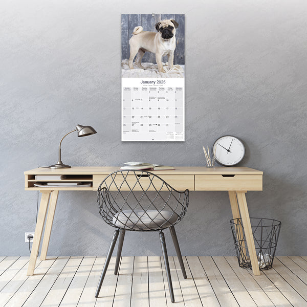 Pug Calendar 2025