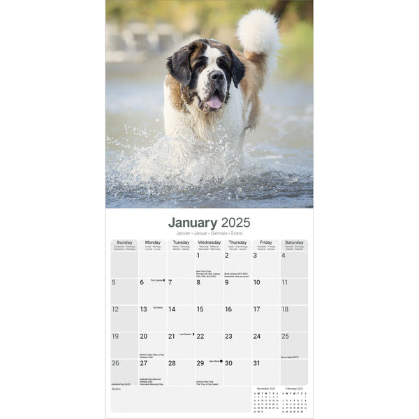 Saint Bernard Calendar 2025