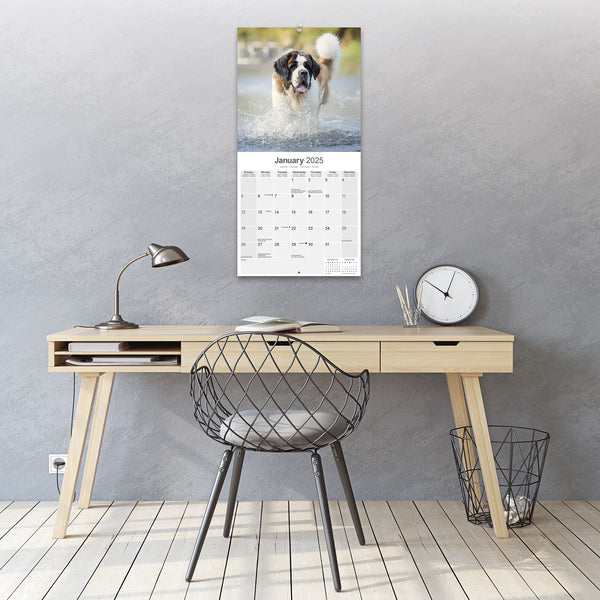 Saint Bernard Calendar 2025