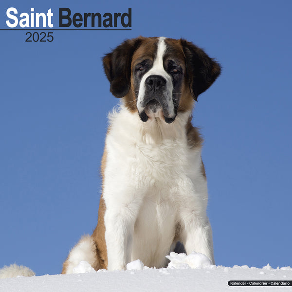 Saint Bernard Calendar 2025