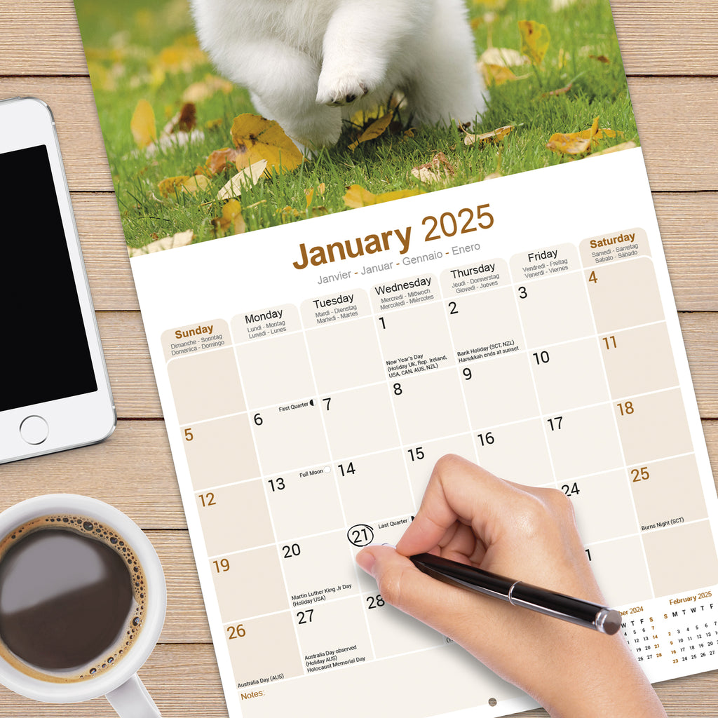 Samoyed Calendar 2025 Avonside Publishing Ltd