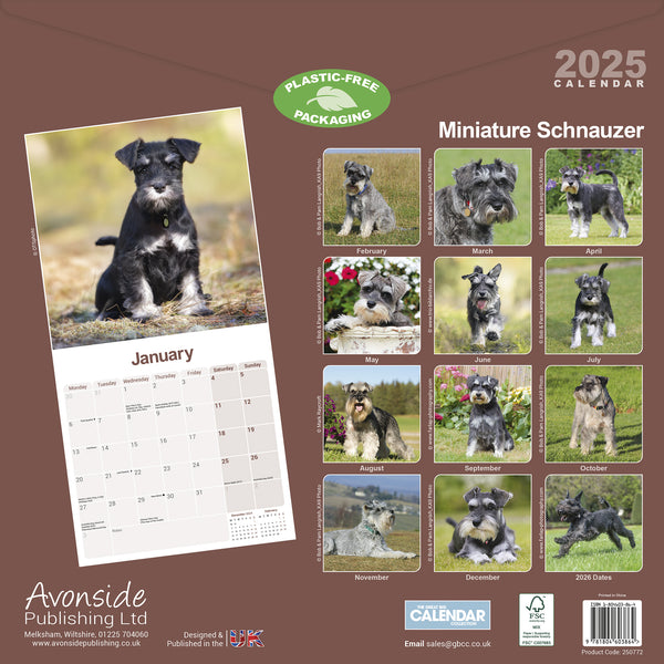 Schnauzer Miniature Calendar 2025