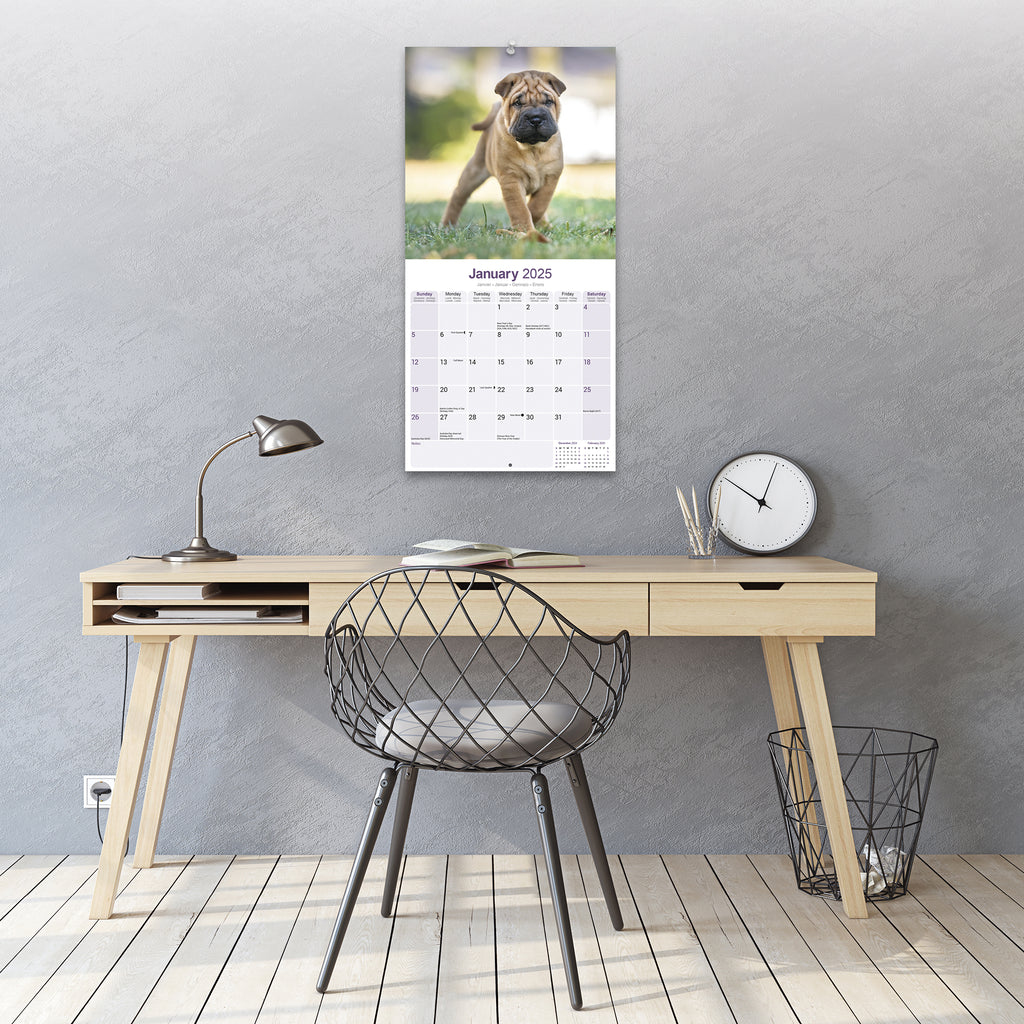 Shar Pei Calendar 2025 – Avonside Publishing Ltd