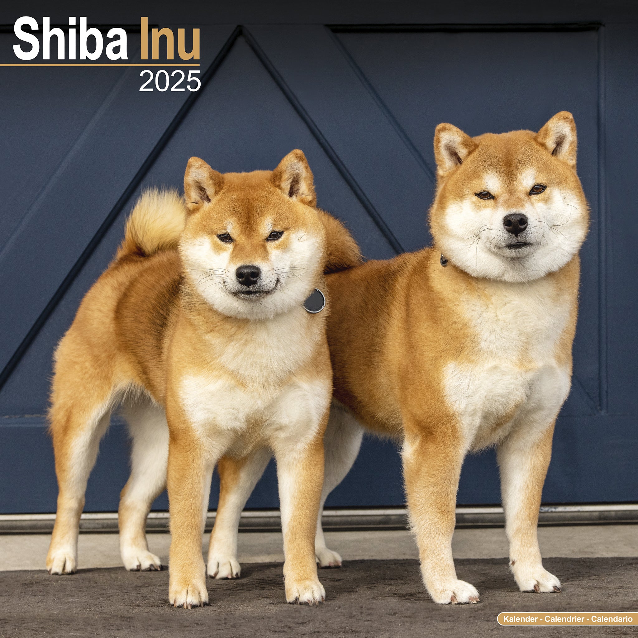 Shiba Inu Calendar 2025