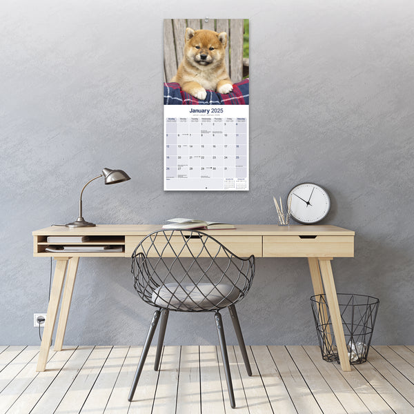 Shiba Inu Calendar 2025