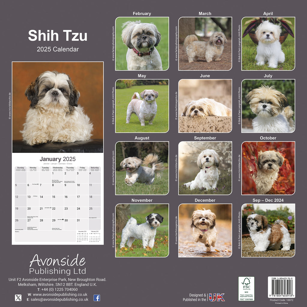 Shih Tzu Calendar 2025 Avonside Publishing Ltd