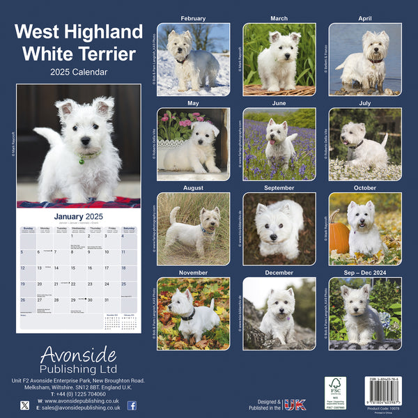 West Highland Terrier Westie Calendar 2025