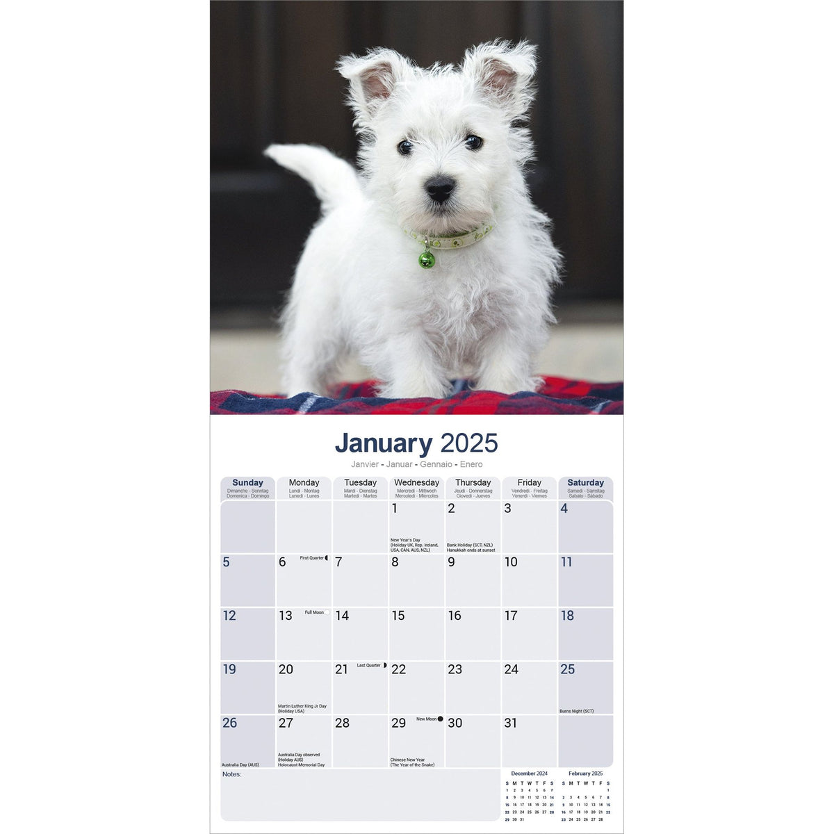 West Highland Terrier Westie Calendar 2025 Avonside Publishing Ltd