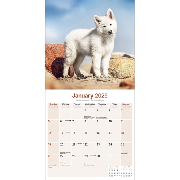 White Shepherd Calendar 2025