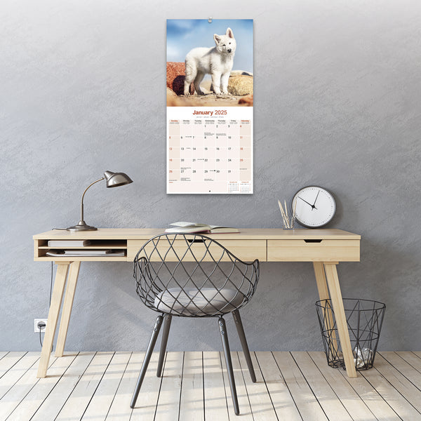 White Shepherd Calendar 2025