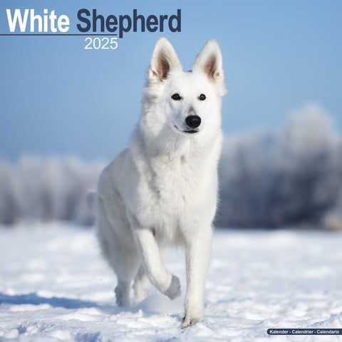 White Shepherd Calendar 2025