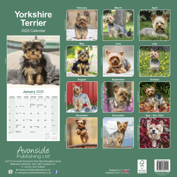 Yorkshire Terrier Calendar 2025