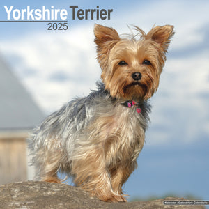 Yorkshire Terrier Calendar 2025