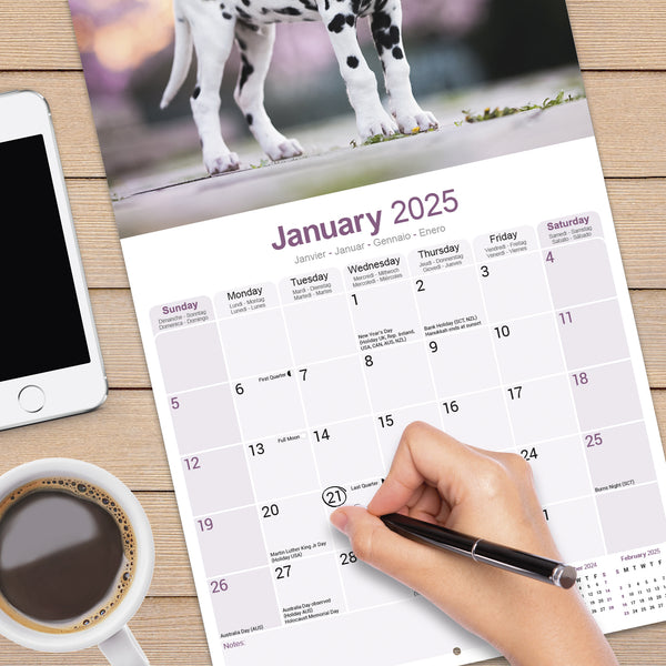 Dalmatian Puppies Calendar 2025