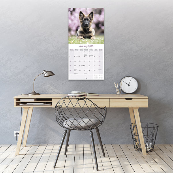 German Shepherd Puppies Calendar 2025