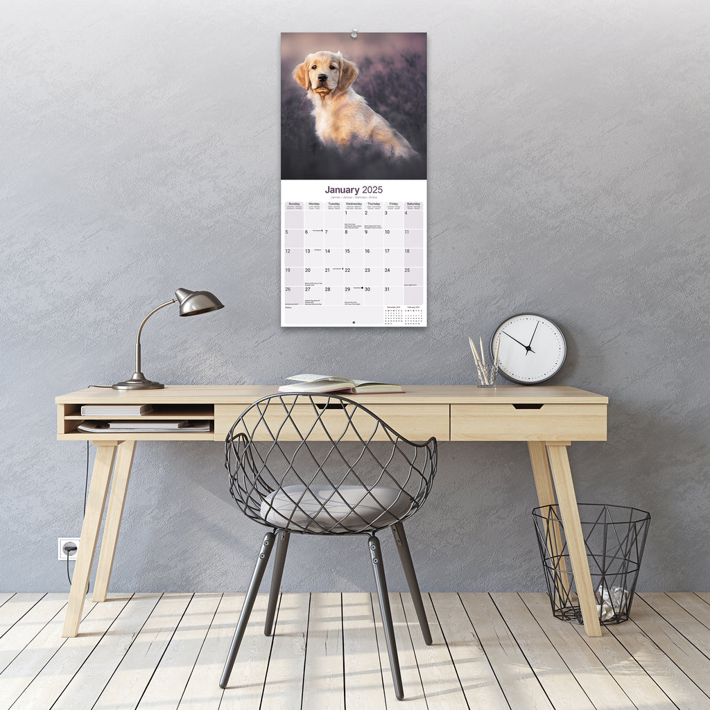 Golden Retriever Puppy Calendar 2025