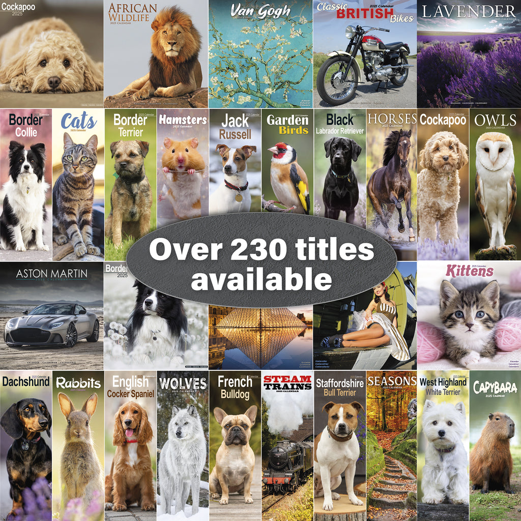Golden Retriever Puppies Calendar 2025