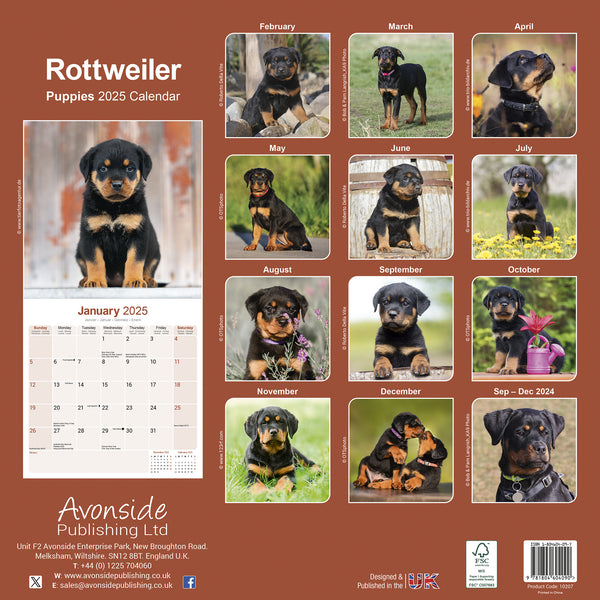 Rottweiler Puppies Calendar 2025