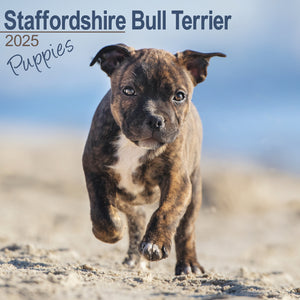 Staffordshire Bull Terrier Puppies Calendar 2025