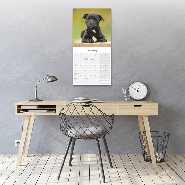 Staffordshire Bull Terrier Puppies Calendar 2025