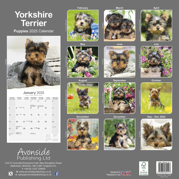 Yorkshire Terrier Puppies Calendar 2025