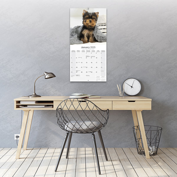 Yorkshire Terrier Puppies Calendar 2025