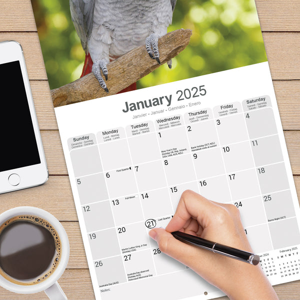 African Greys Calendar 2025