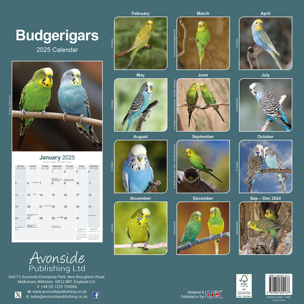 Budgerigars Calendar 2025