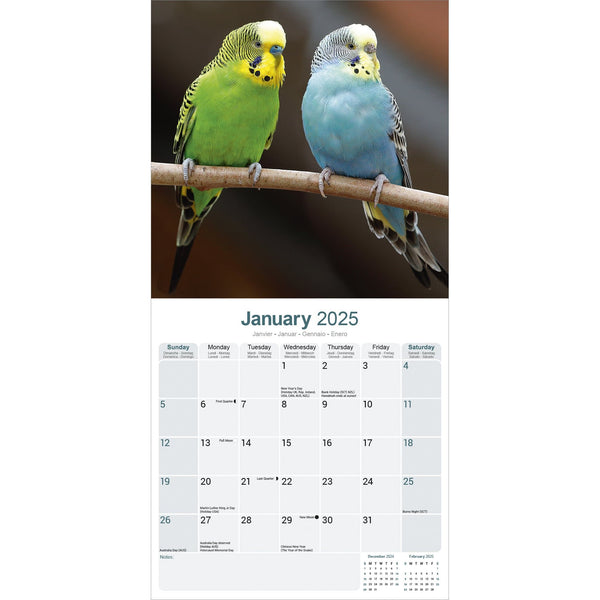 Budgerigars Calendar 2025