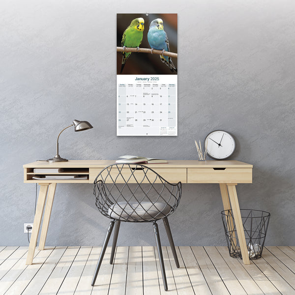 Budgerigars Calendar 2025