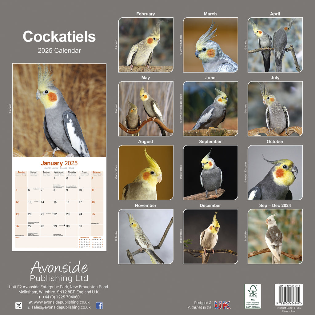 Cockatiels Calendar 2025 Avonside Publishing Ltd