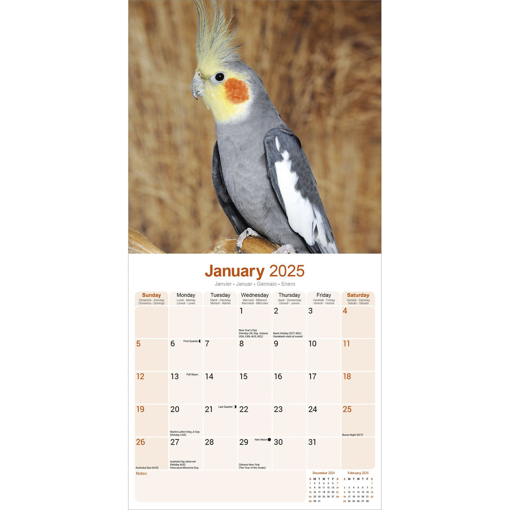 Cockatiels Calendar 2025 Avonside Publishing Ltd