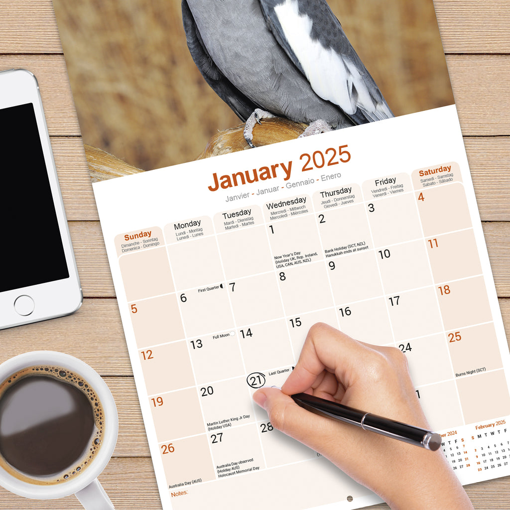 Cockatiels Calendar 2025 Avonside Publishing Ltd