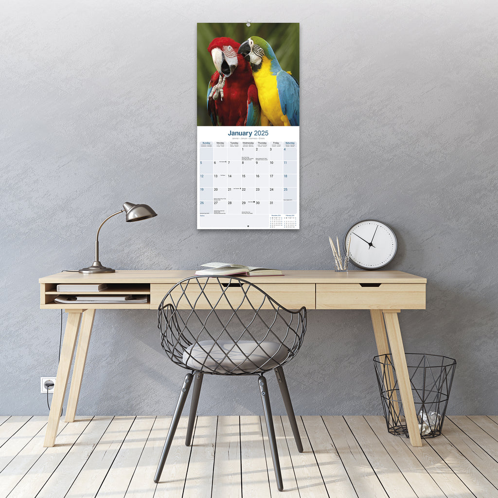 Macaws Calendar 2025 Avonside Publishing Ltd