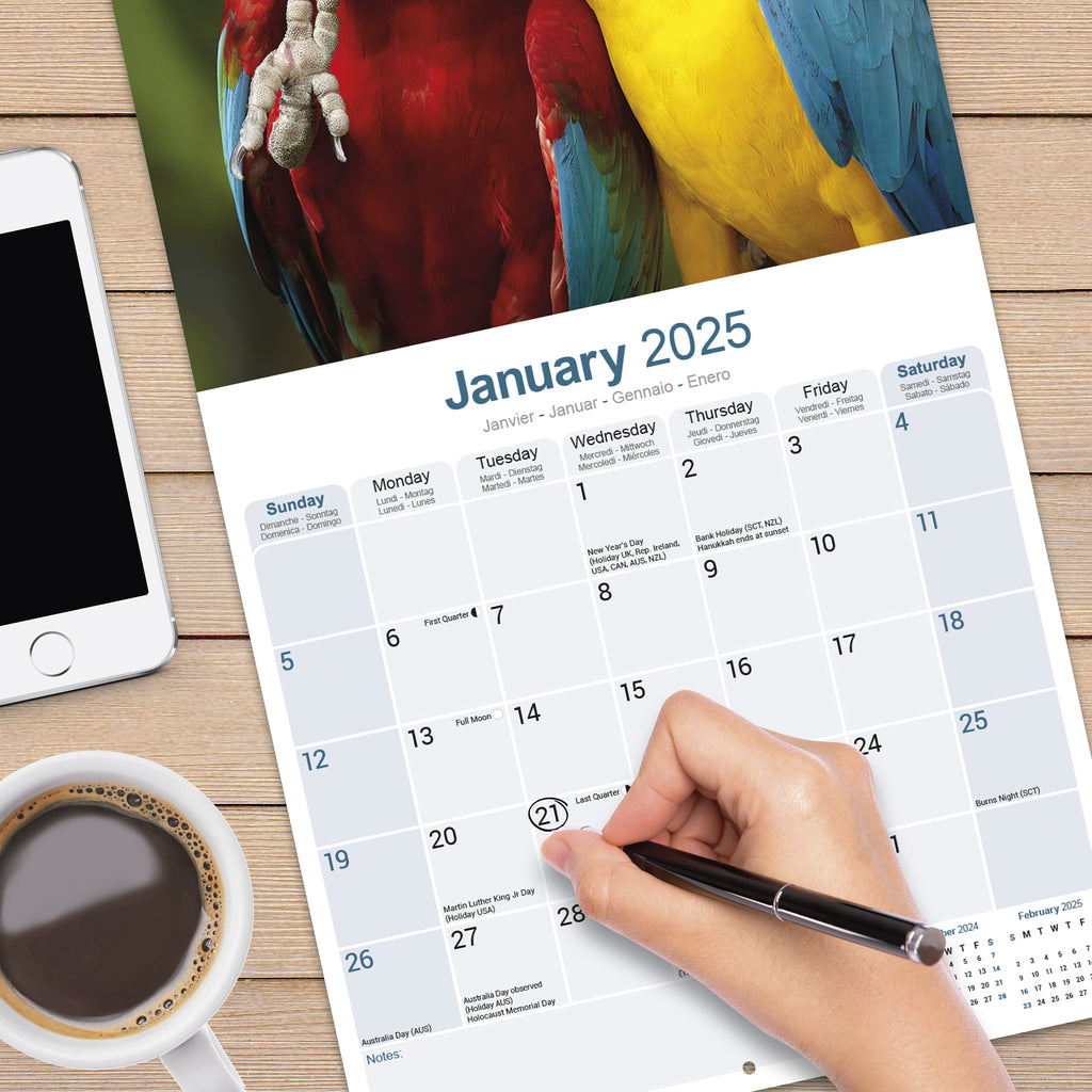 Macaws Calendar 2025 Avonside Publishing Ltd