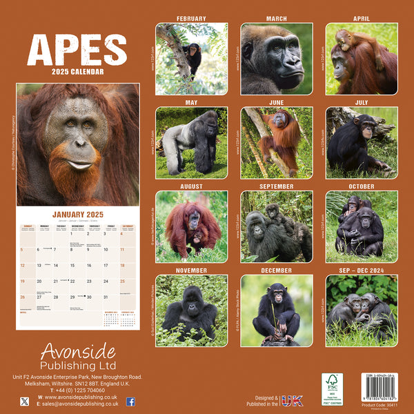 Apes Calendar 2025
