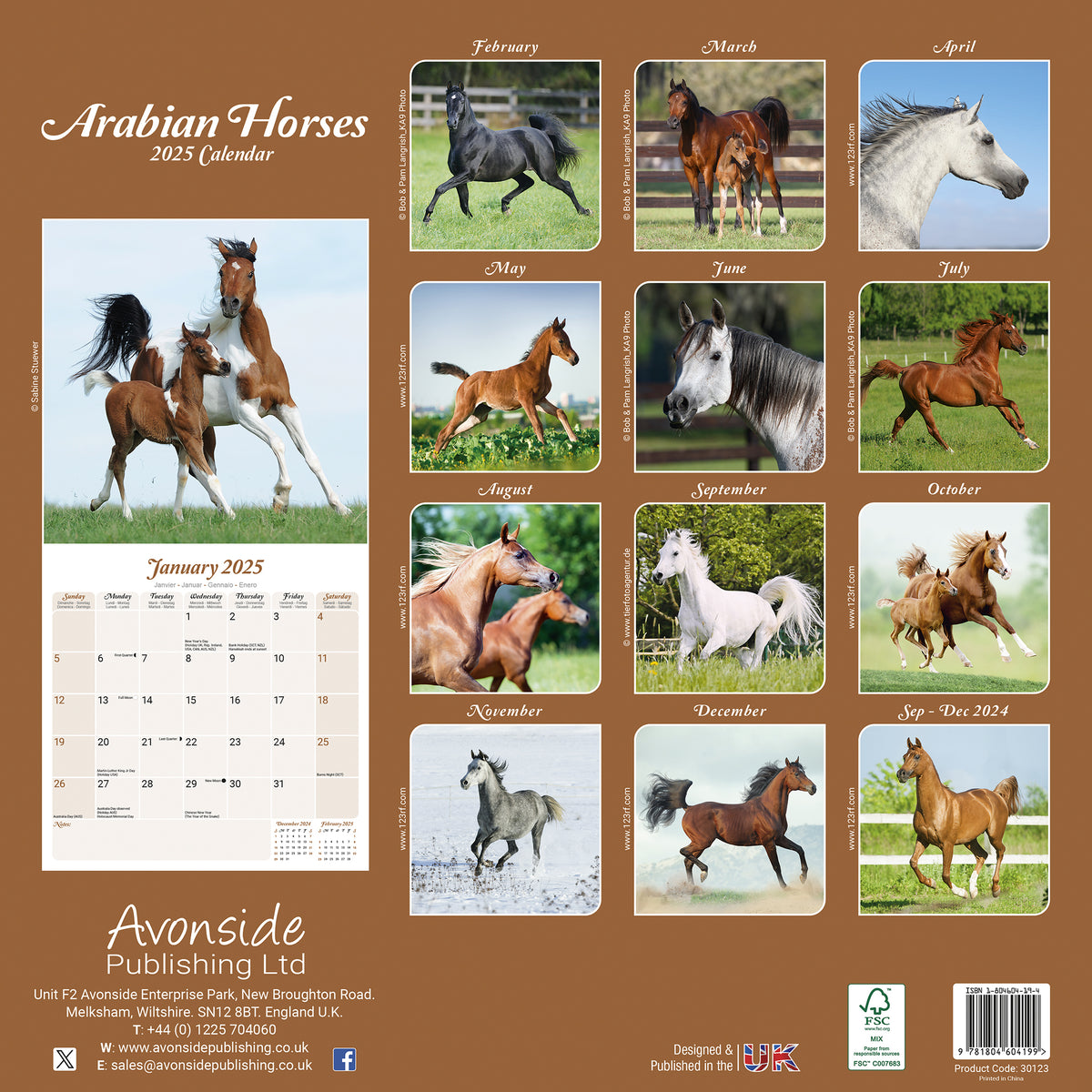 Arabian Horses Calendar 2025 Avonside Publishing Ltd