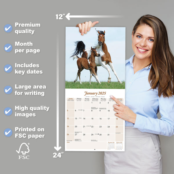 Arabian Horses Calendar 2025
