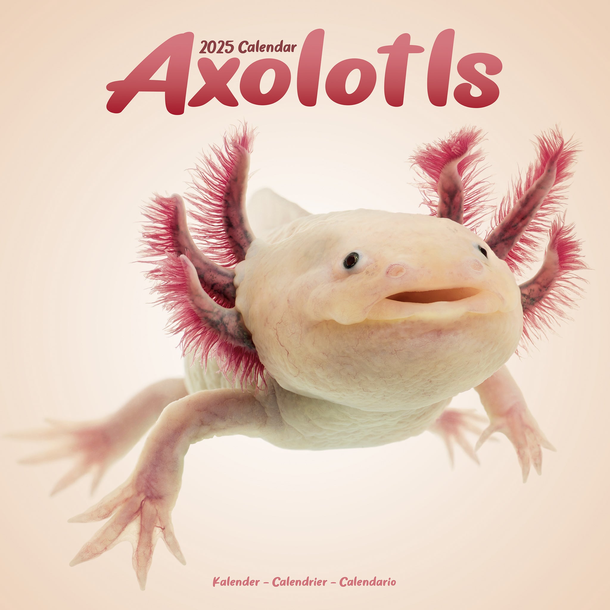 Axolotl Calendar 2025