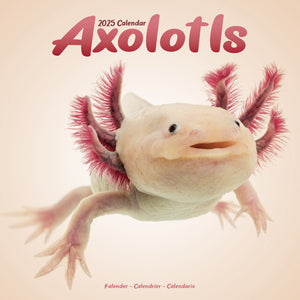 Axolotls Calendar 2025