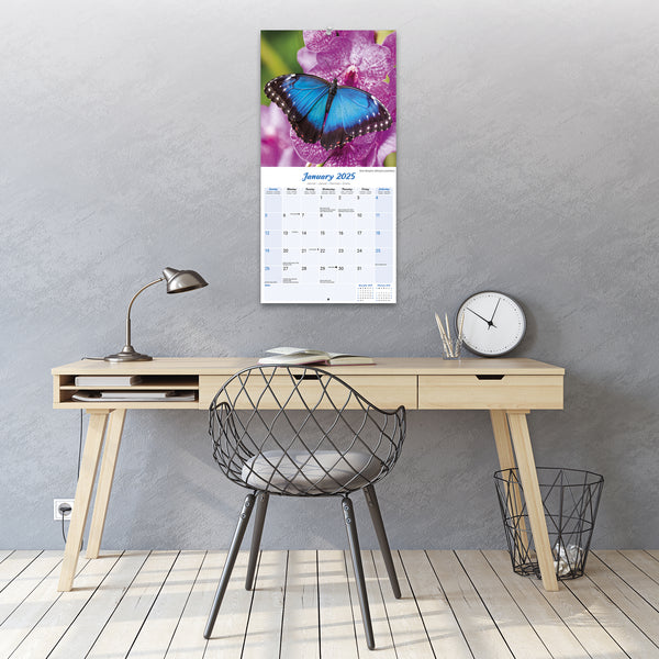 Butterflies Calendar 2025