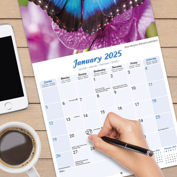 Butterflies Calendar 2025