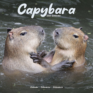 Capybara Calendar 2025