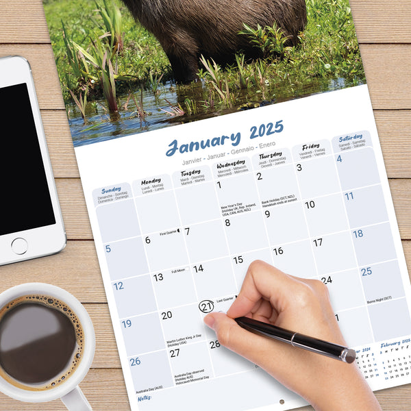 Capybara Calendar 2025