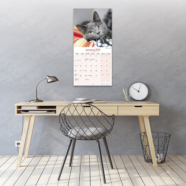 Cats Calendar 2025